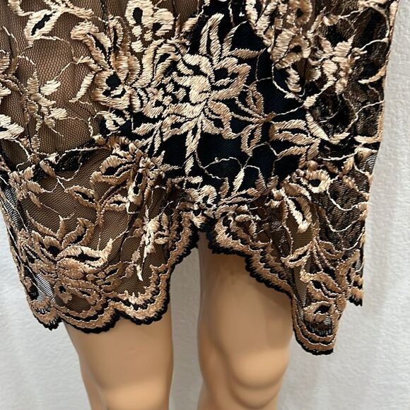 David Rose Sz 16 1/2 Top Tunic Scoop Neck Long Sleeve Floral Sheer Embroidered - Picture 4 of 9